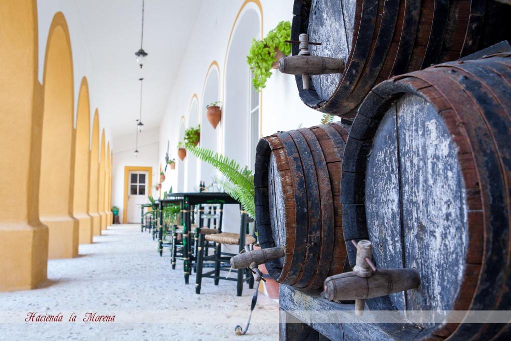 Hacienda La Morena Montellano Bagian luar foto