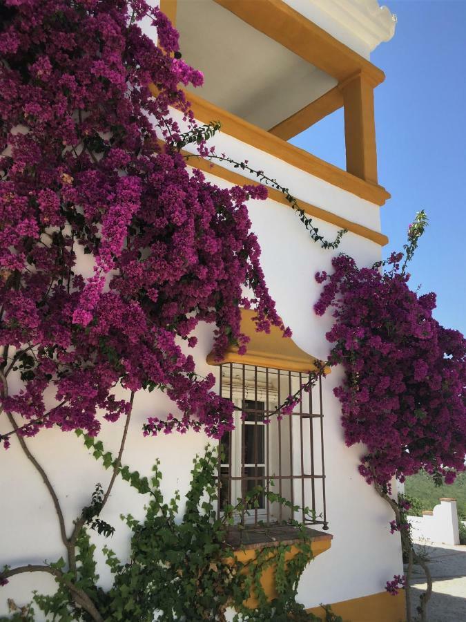 Hacienda La Morena Montellano Bagian luar foto