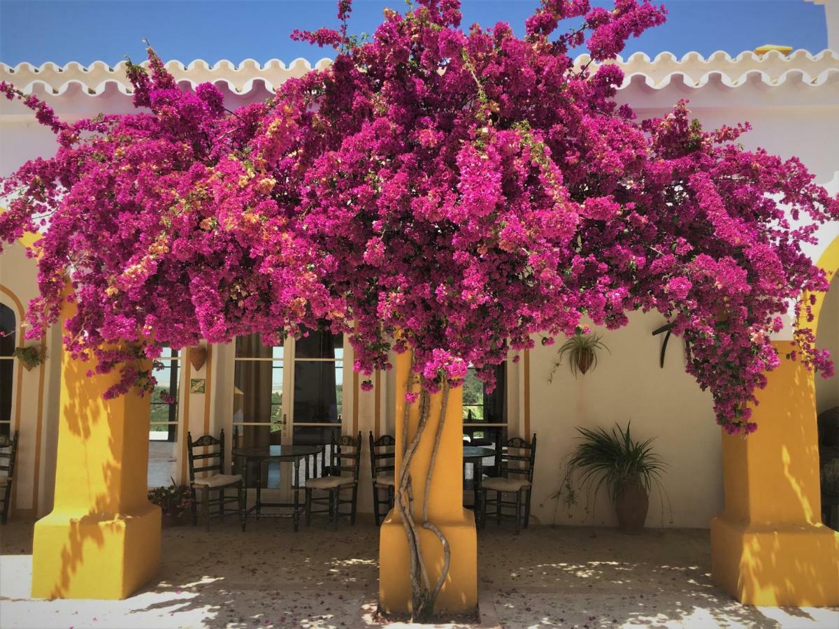 Hacienda La Morena Montellano Bagian luar foto